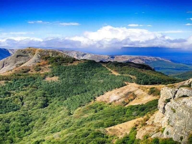 Заповедный крым. Крымский природный заповедник Алушта. Алуштинский Крымский заповедник. Алуштинский Горно-Лесной заповедник. Национальный парк Алушта.