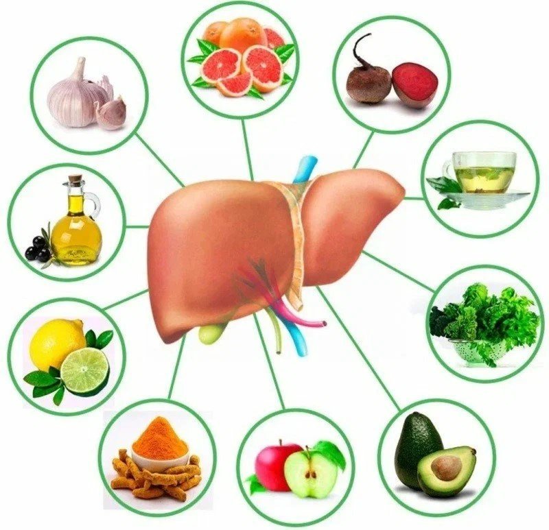 Овощи при циррозе печени. Какая еда полезна для печени. Что полезно для печени человека из продуктов. Продукты полезные для печени. Продукты для восстановления печени.