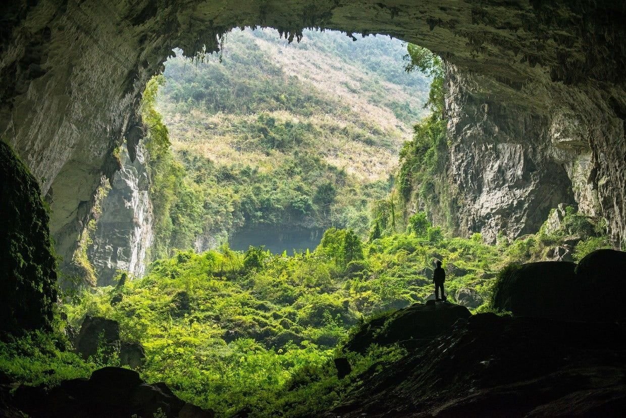 Hang son Doong пещера джунгли