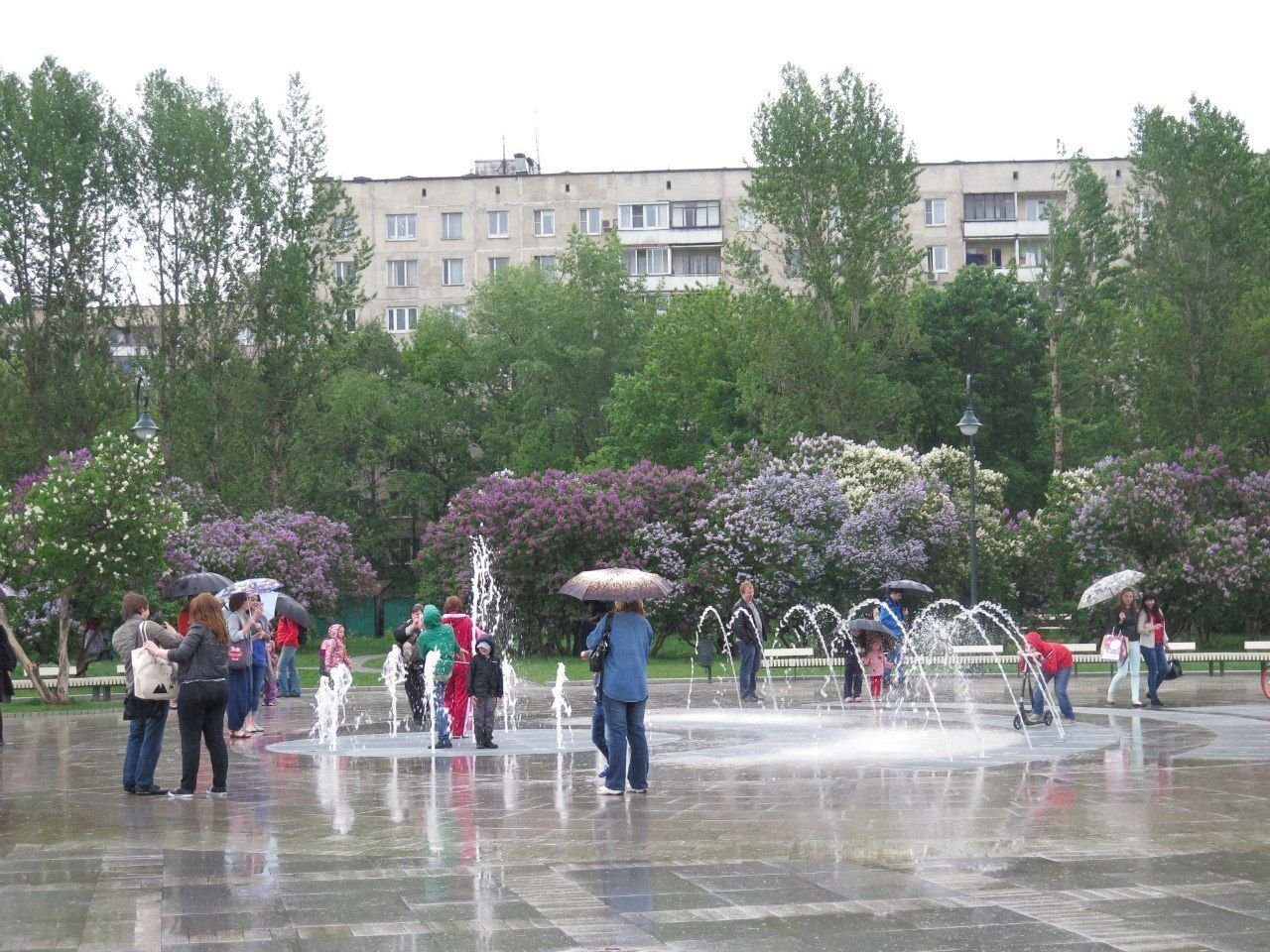 Сиреневый сад на щелковском шоссе фото