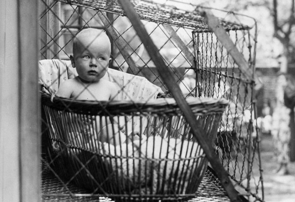 первичный туалет новорожденного. деформация грудной клетки у новорожденного. головка новорожденного. туалет новорожденного в родильном зале. головка у новорожденных.