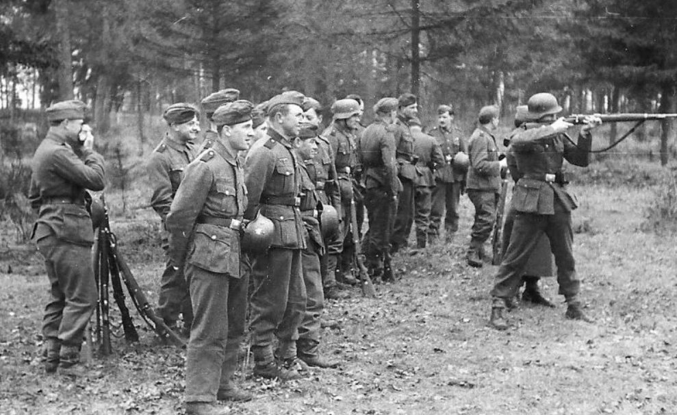 Солдат сс вермахт в цвете. Строй солдат вермахта. Солдаты сс лейбштандарт сс адольф гитлер. Адольф гитлер в польше. Солдат дивизии сс викинг.