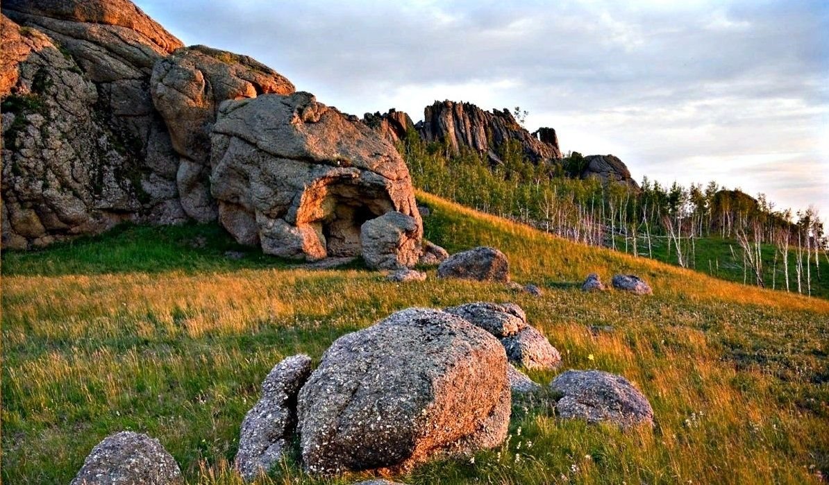 Даурский заповедник Забайкальского края