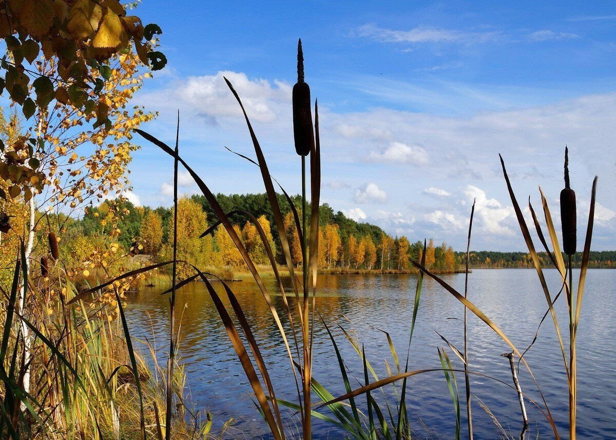 Осень рыбалка