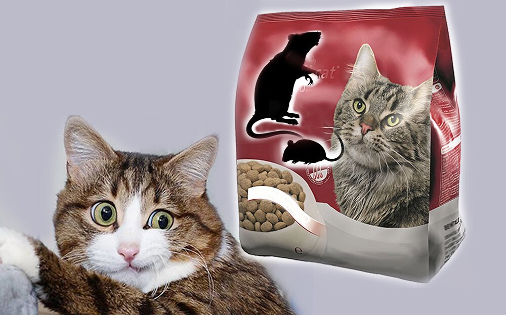 Почему нет корма для кошек. Кормление кота. Почему нет корма для кошек. Корм для кошек. Еда для кошек.