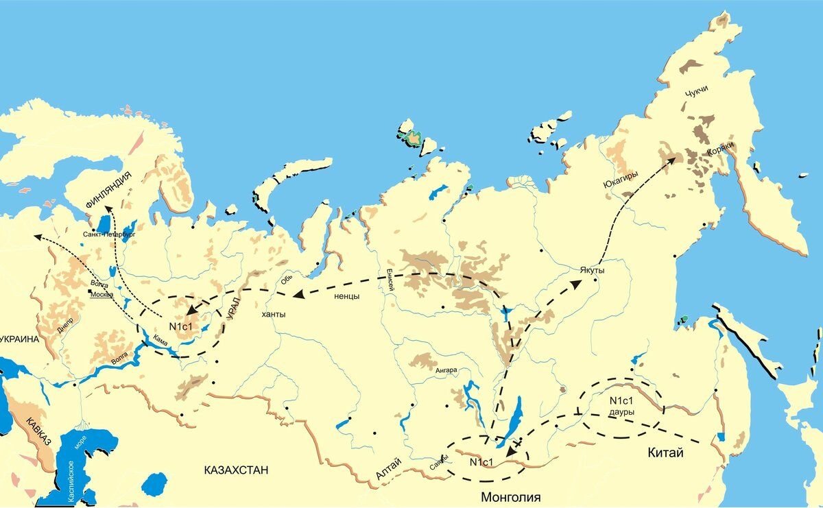 Финно угорские народы называл горы без леса. Миграция гаплогруппы n1c1. Гаплогруппы карта n1c1. Гаплогруппы народов n1c1. Гаплогруппа n1c народы.