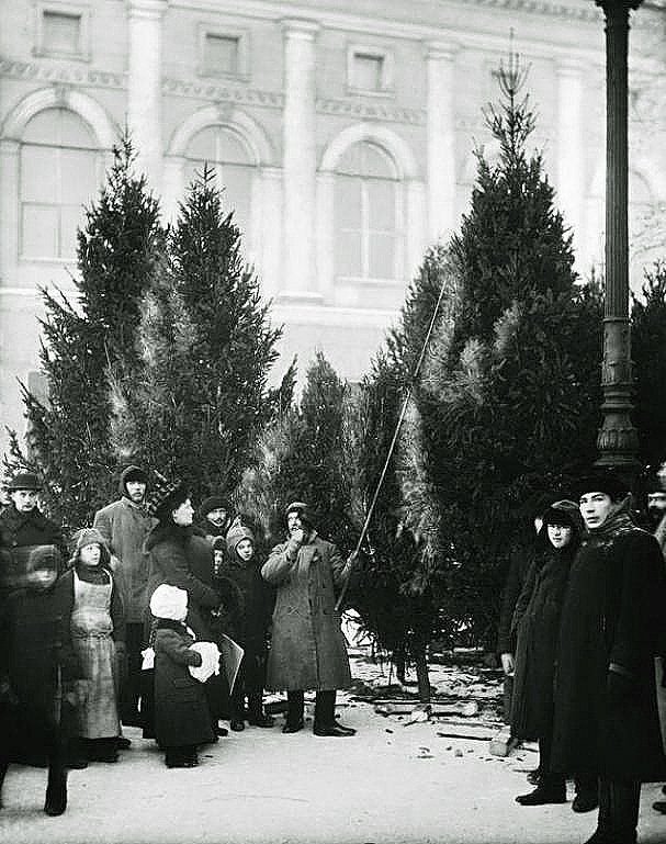 Когда праздновали рождество до революции. Ёлочный базар 1913 Екатерининский сад. Елочный базар Россия 19 век. Елочный базар Петербург 19 век. Рождество в императорской России Николай.