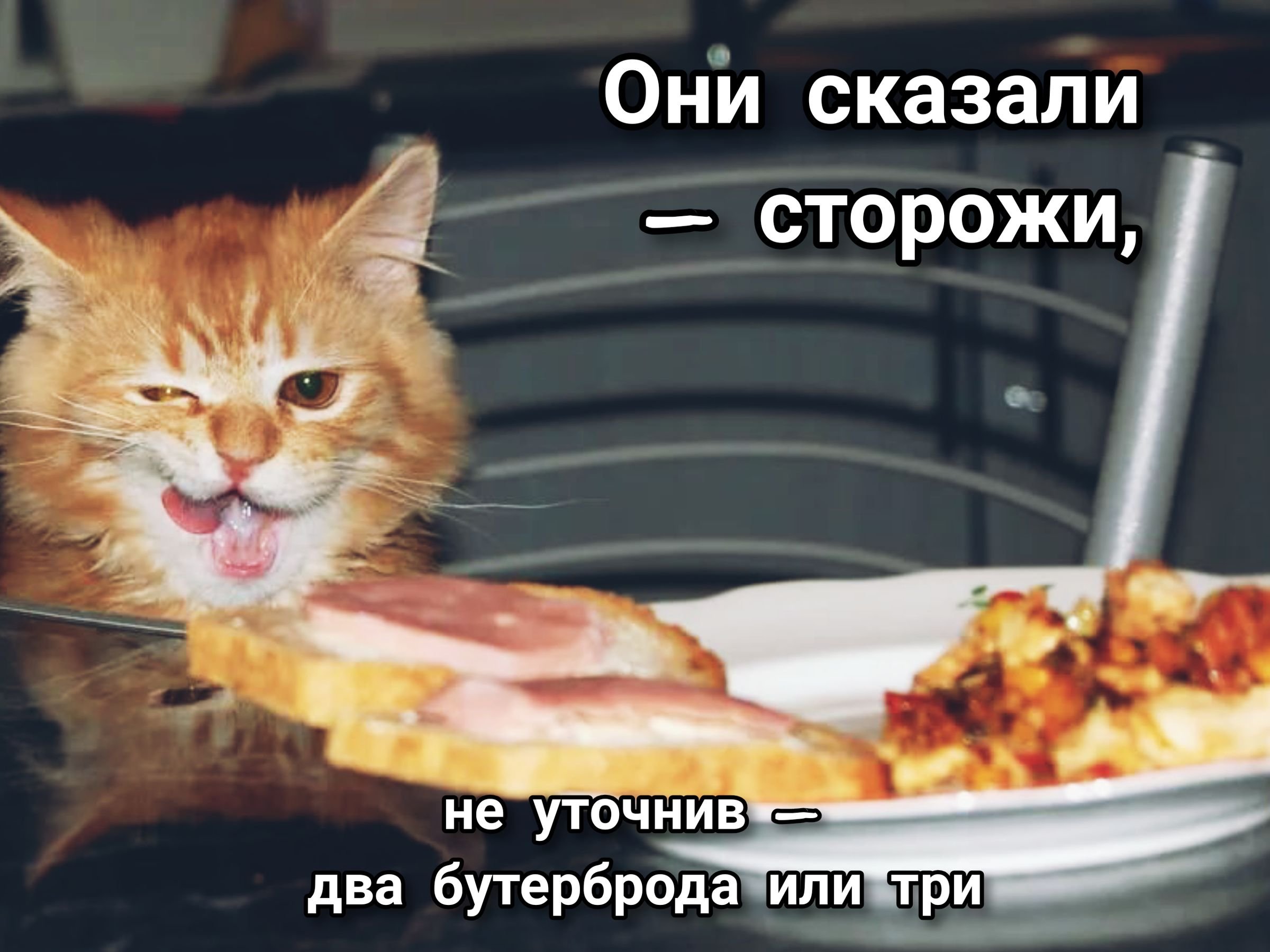 Кот ест приятного аппетита
