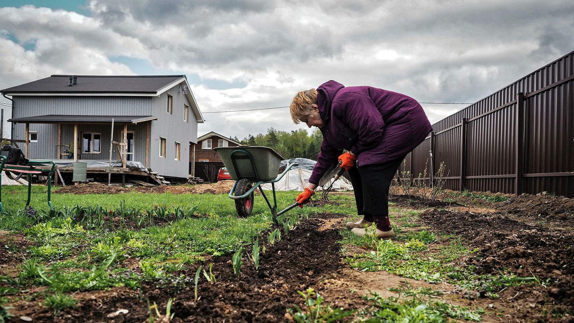 начинаем огородное собрание. день дачника в россии. общее собрание дачников. на даче. дачники на даче.