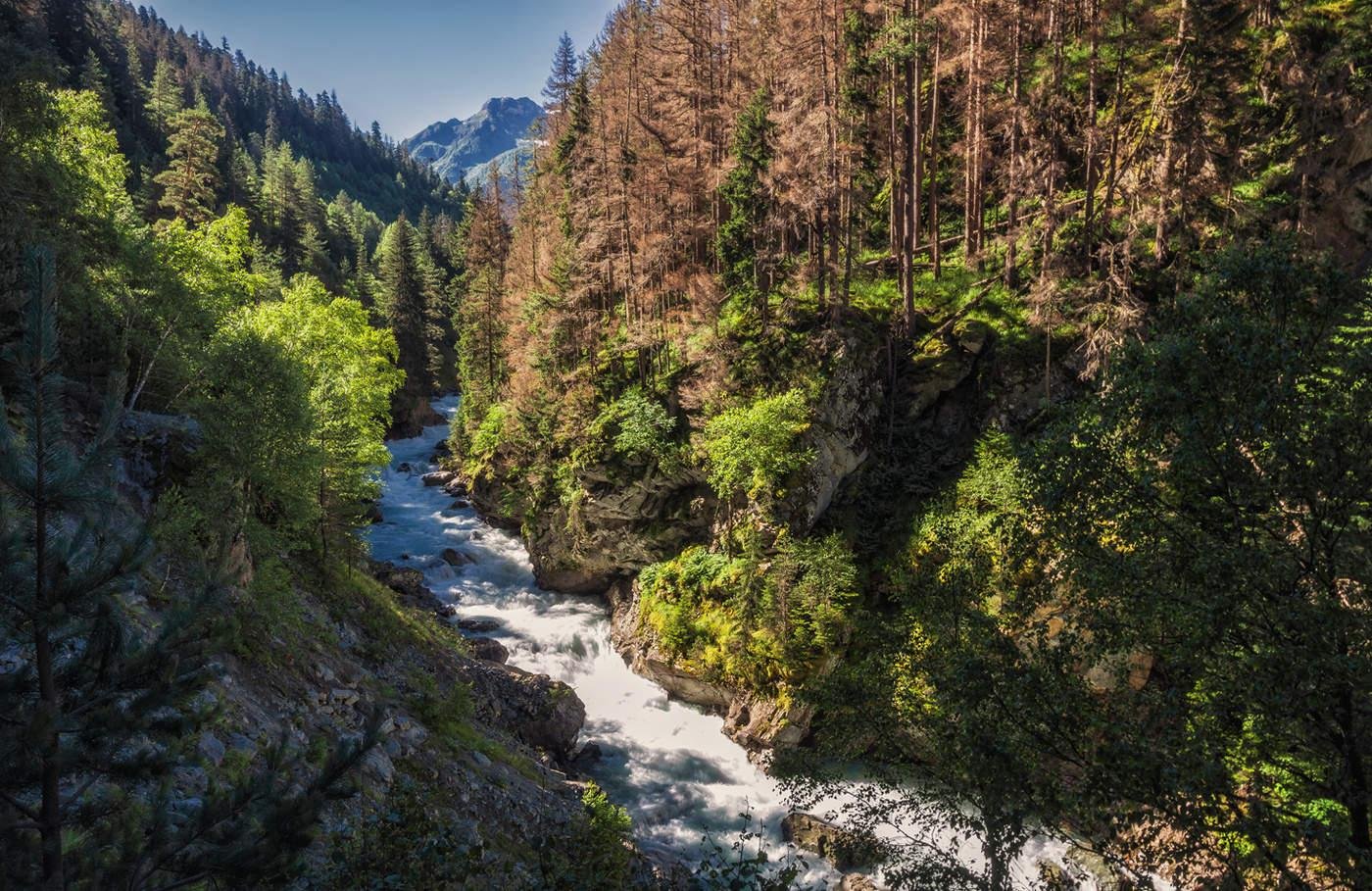 Ущелье Гоначхир в Домбае фото