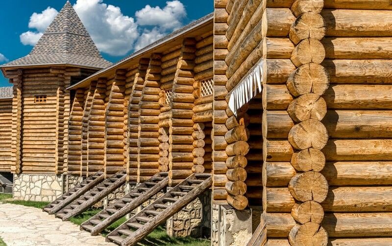 Кудыкина гора особенное дерево