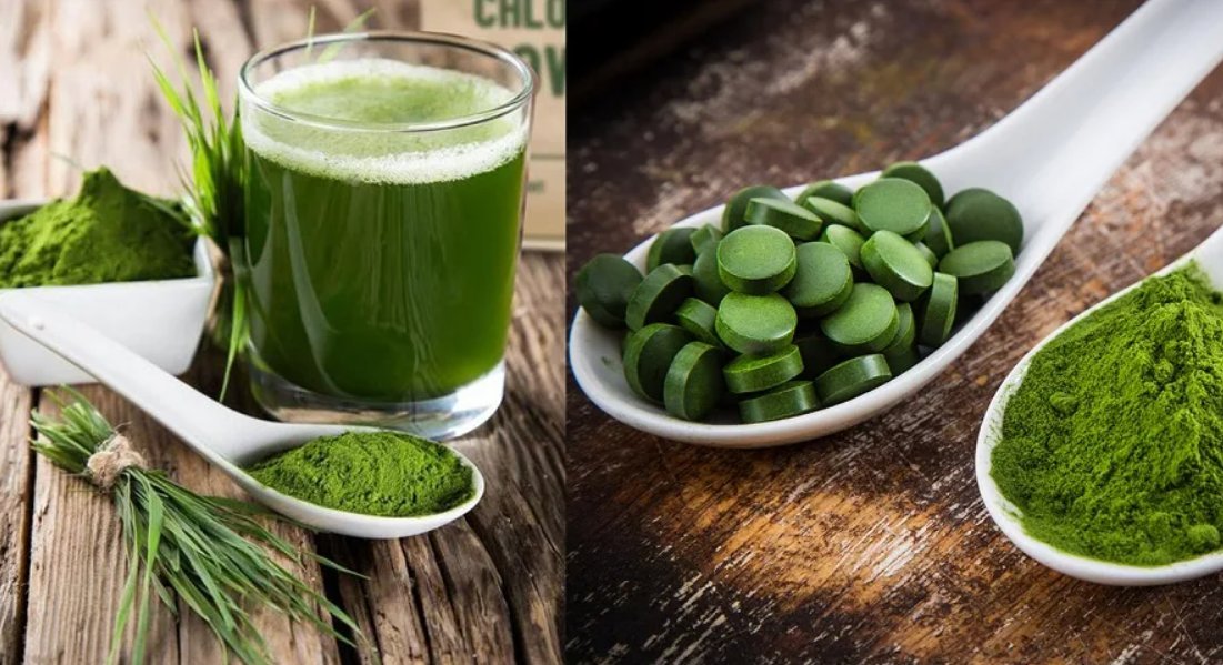 хлорелла что это. микроводоросли хлорелла. хлорелла вульгарис. корейски хлорелла. хлорелла вульгарис.