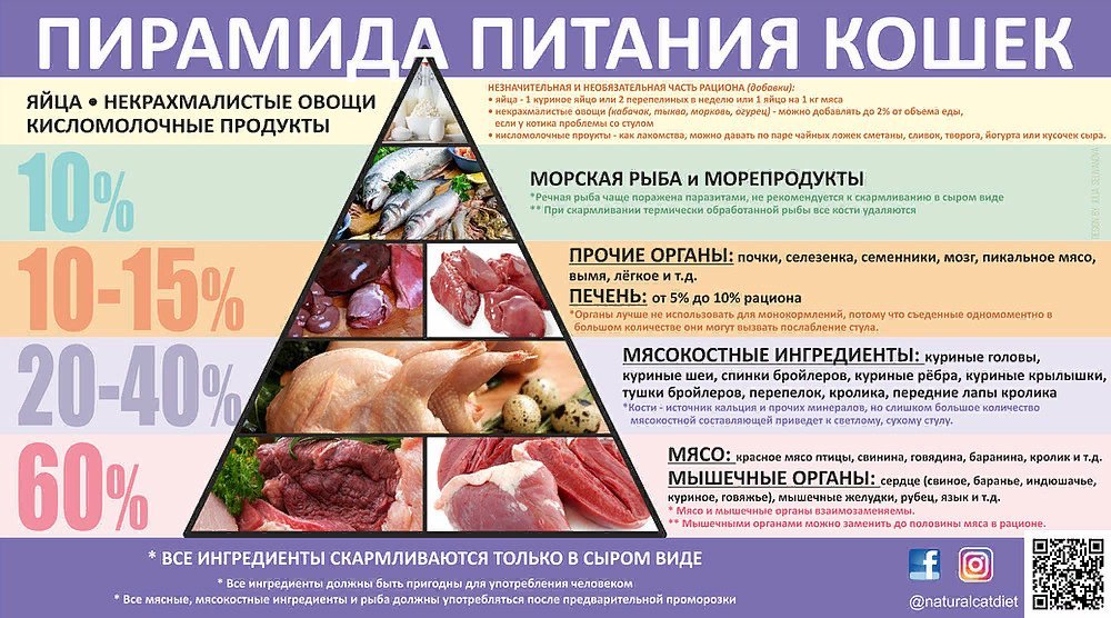 Кисломолочные продукты для стула