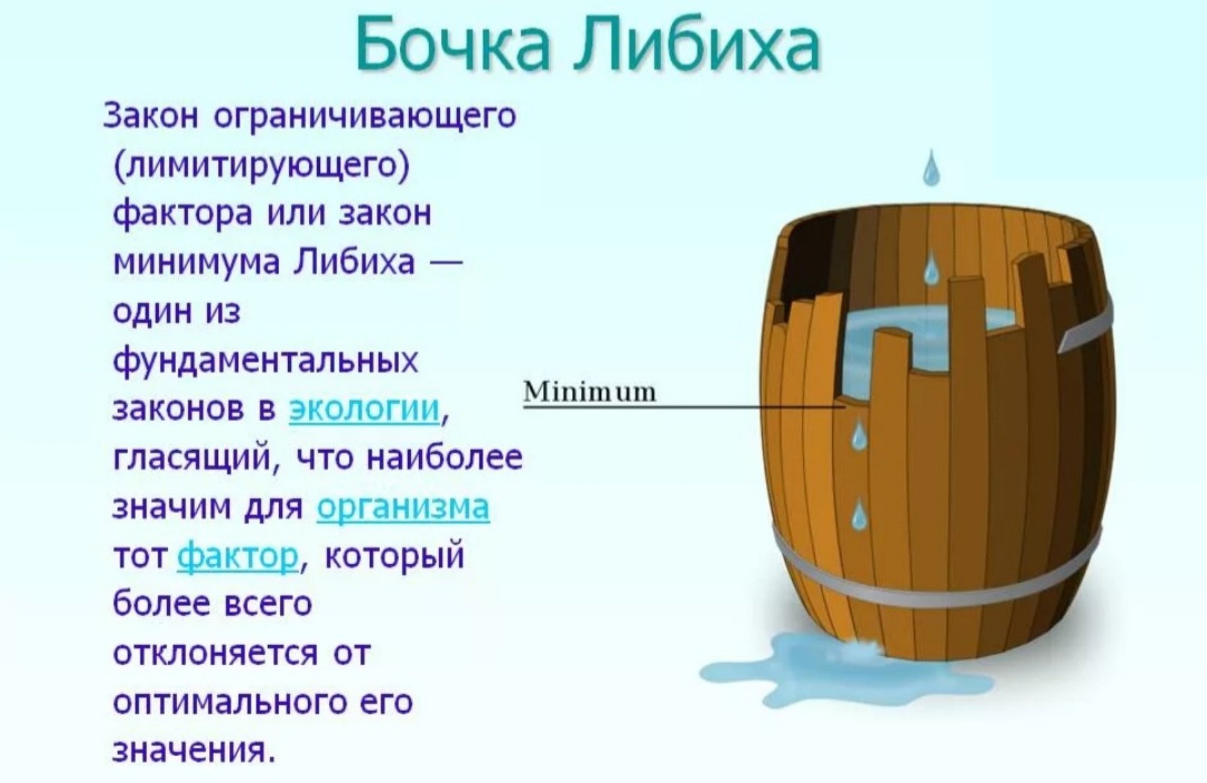Сколько литров в бочке кваса. Бочка Либиха и лимитирующие факторы. Биология бочка Либиха. Закон бочки Либиха. Закон минимума Либиха.