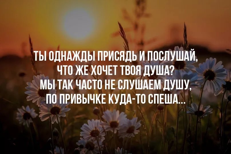 Чего хочет душа. Ты однажды постой и послушай. Однажды послушай чего хочет твоя душа. Цитаты о душевном развитии. Изречения о душе 4 класс.