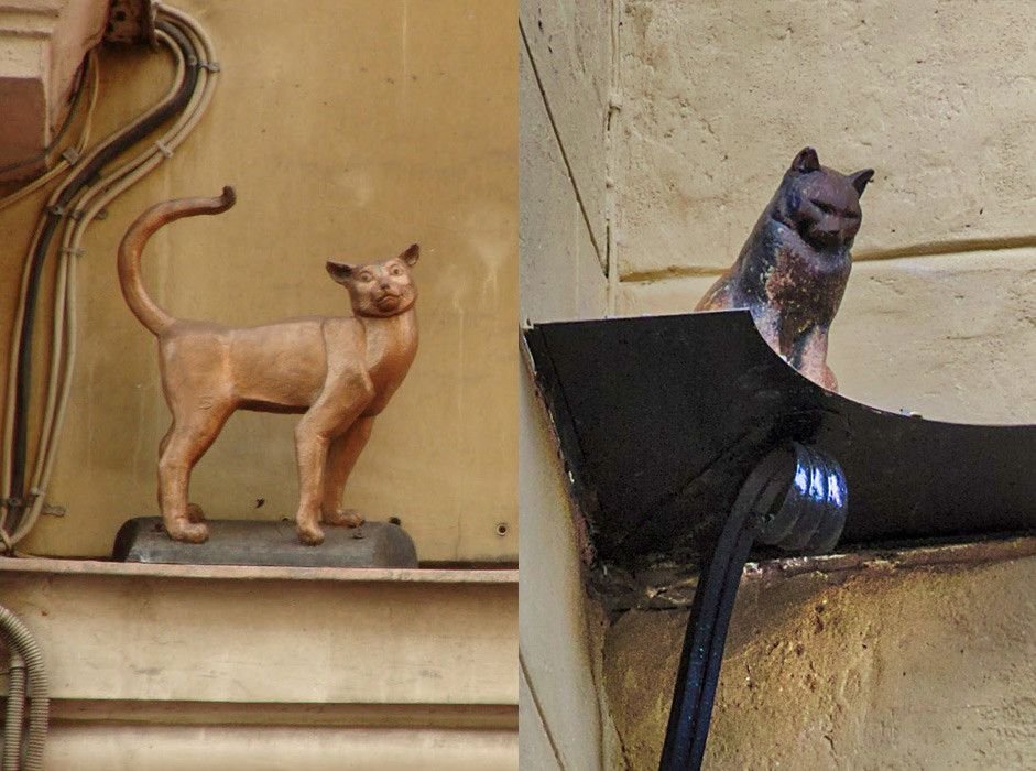 Кошки в санкт петербурге
