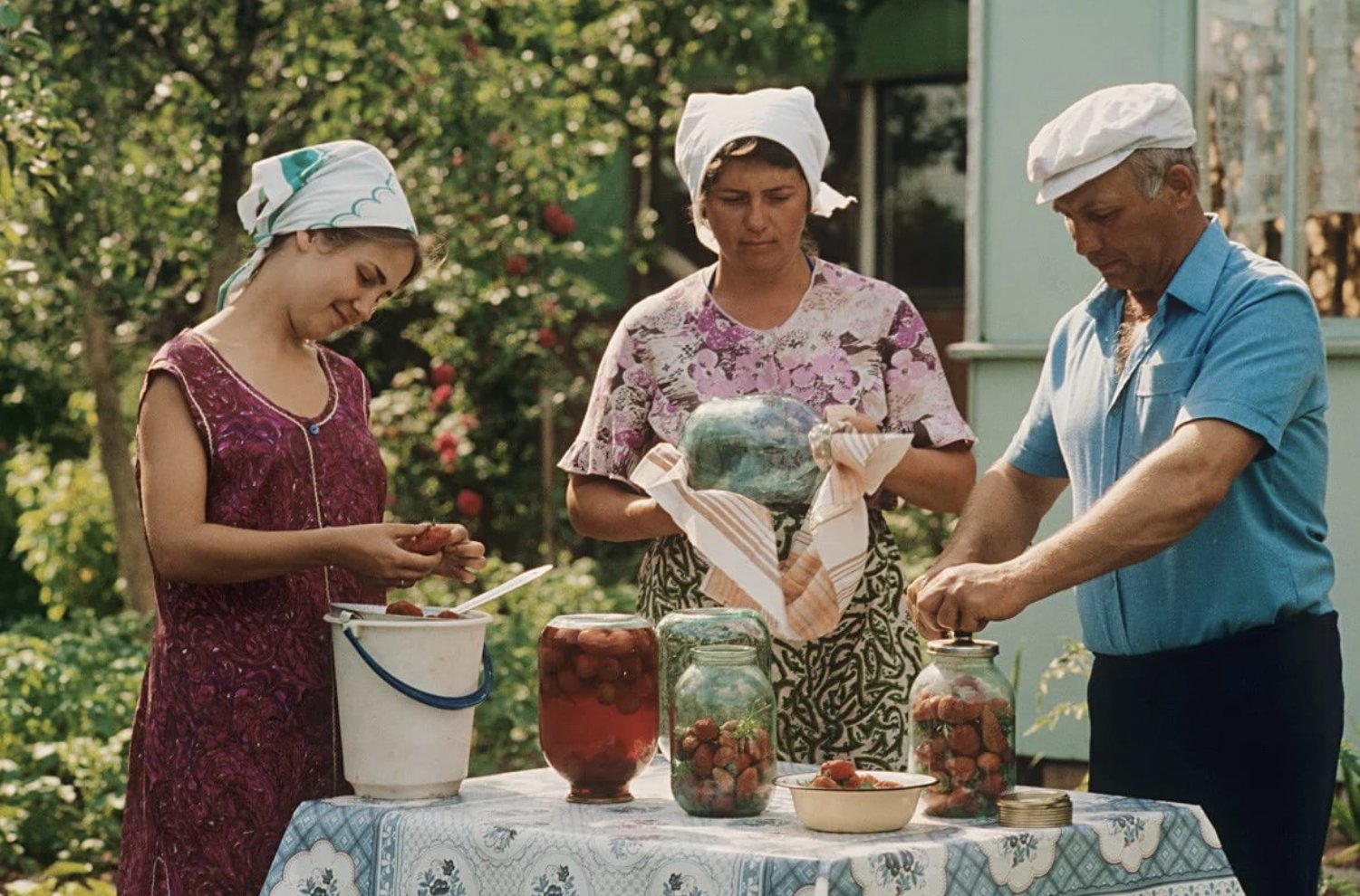 Советские дачники