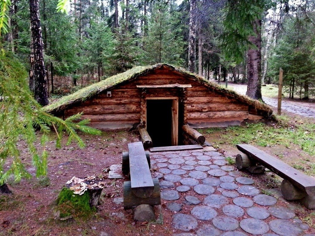 дом землянка. лесная охотничья землянка. карамо землянка. дом землянка финляндия. дом землянка.