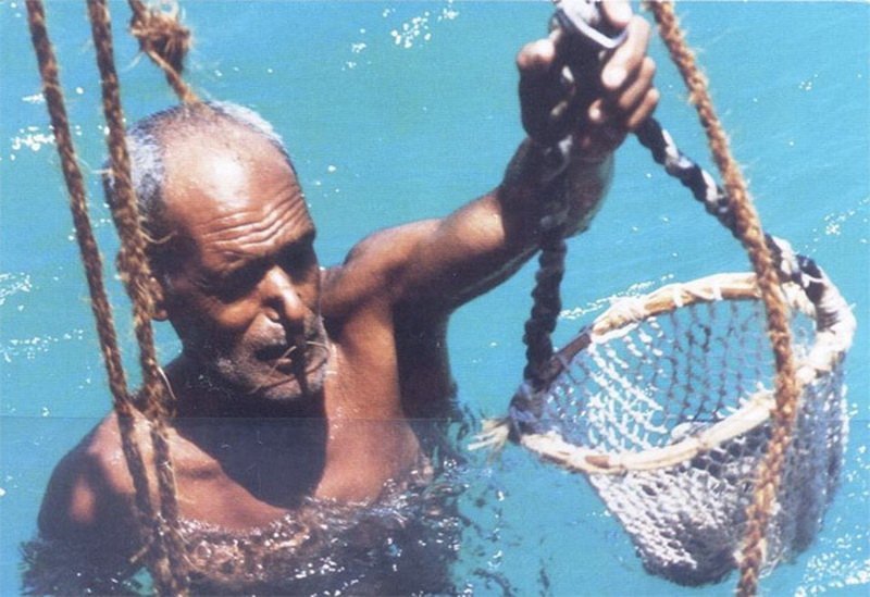 искатель жемчуга ныряет. ловцы жемчуга ныряльщик. ловцы жемчуга. японские ныряльщицы за жемчугом. ныряльщики за жемчугом.