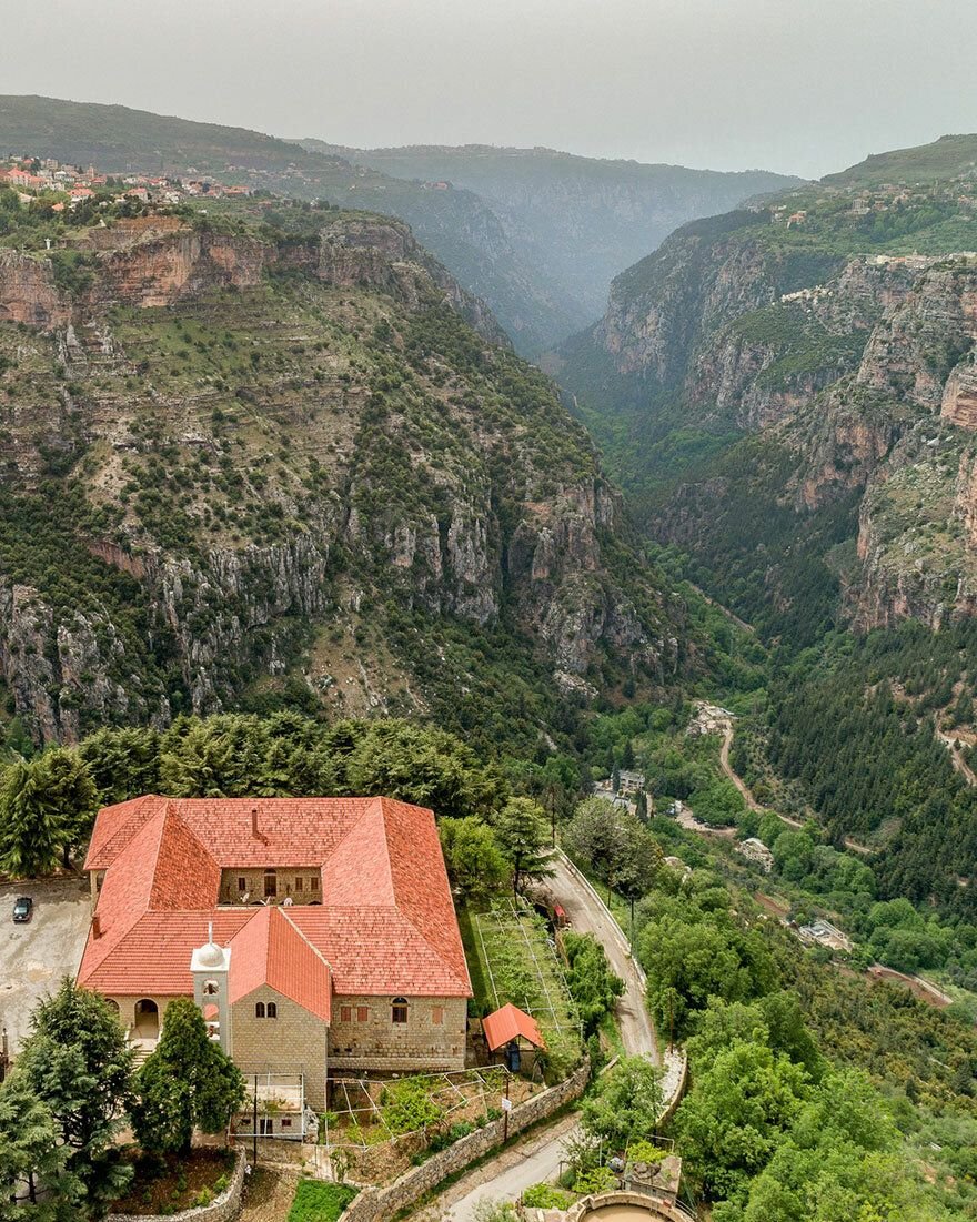Природа ливана на
