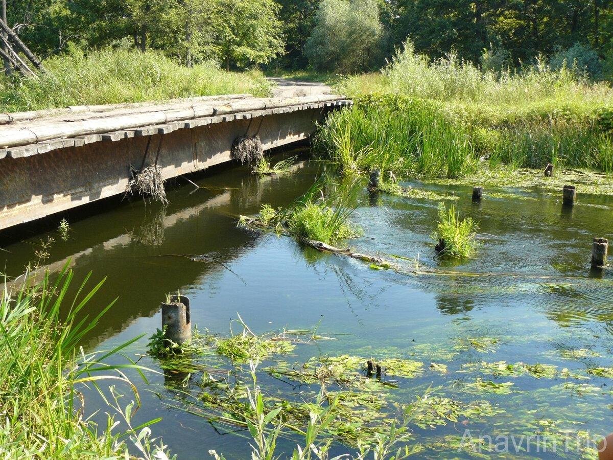 реки средней полосы