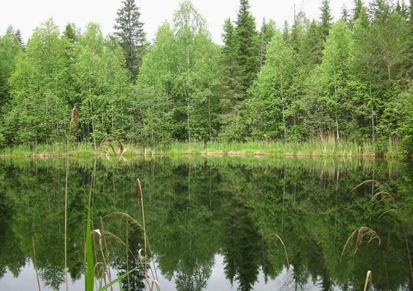 Пермские озера
