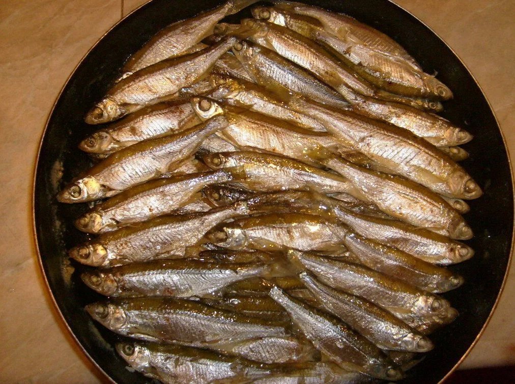 Балтийский шпрот рыба. Шпроты из мойвы. Рыбное меню: шпроты в масле из балтийской кильки ключ 160г. Из чего делают настоящие шпроты. Из чего делают настоящие шпроты.