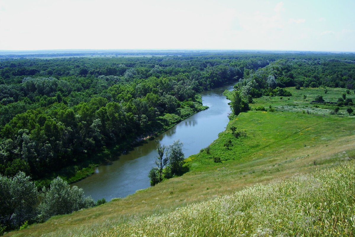 Река медведица в волгоградской области