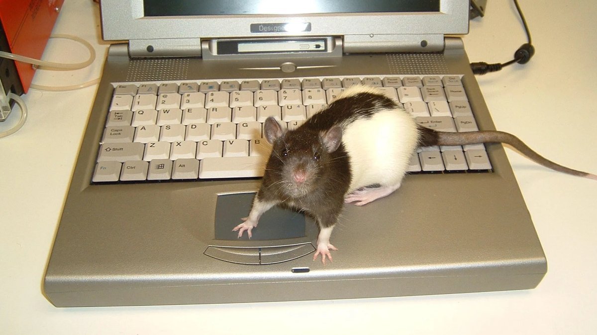 Мышка не работает на столе