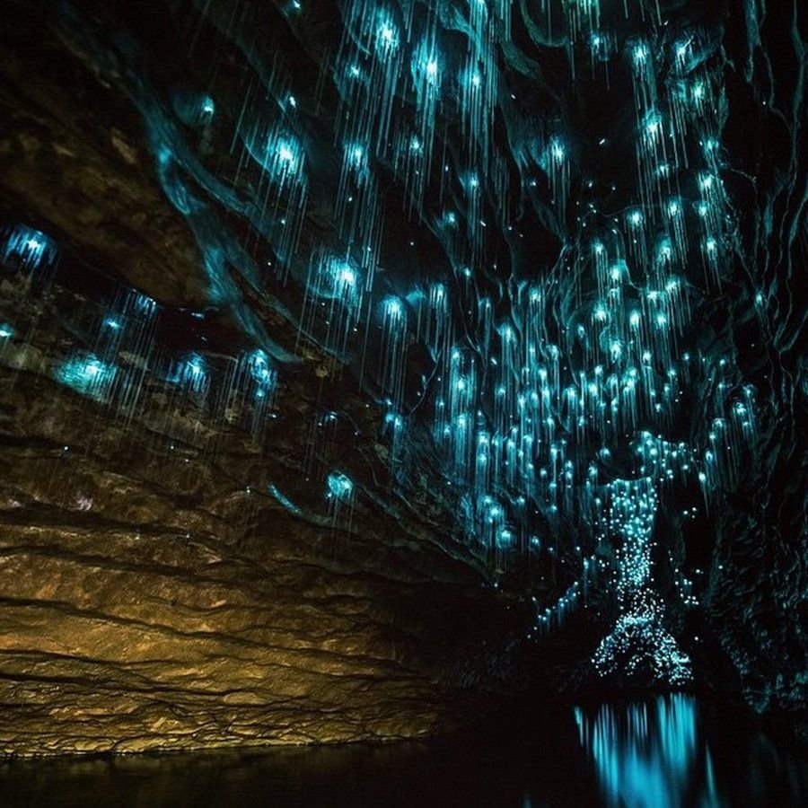 Waitomo caves. Пещеры Вайтомо новая Зеландия. Пещера светлячков новая Зеландия. Пещера Уэйтомо Глоуворм (Waitomo Glowworm), новая Зеландия:. Пещеры светлячков Вайтомо, новая Зеландия.