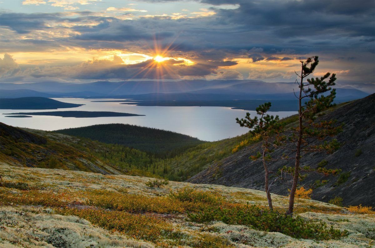 полярный день в тундре