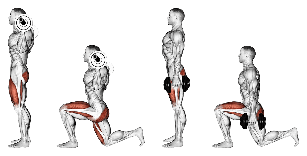 Сколько упражнений на ноги. Выпады со штангой техника выполнения для мужчин. Выпады с гантелями для мужчин техника. Lunge выпады с гантелями. Выпады вперед со штангой техника выполнения.