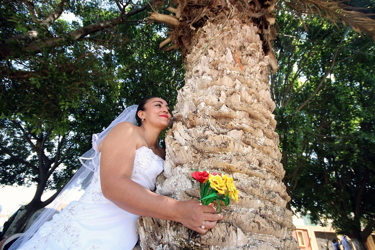 дерево на свадьбу фото