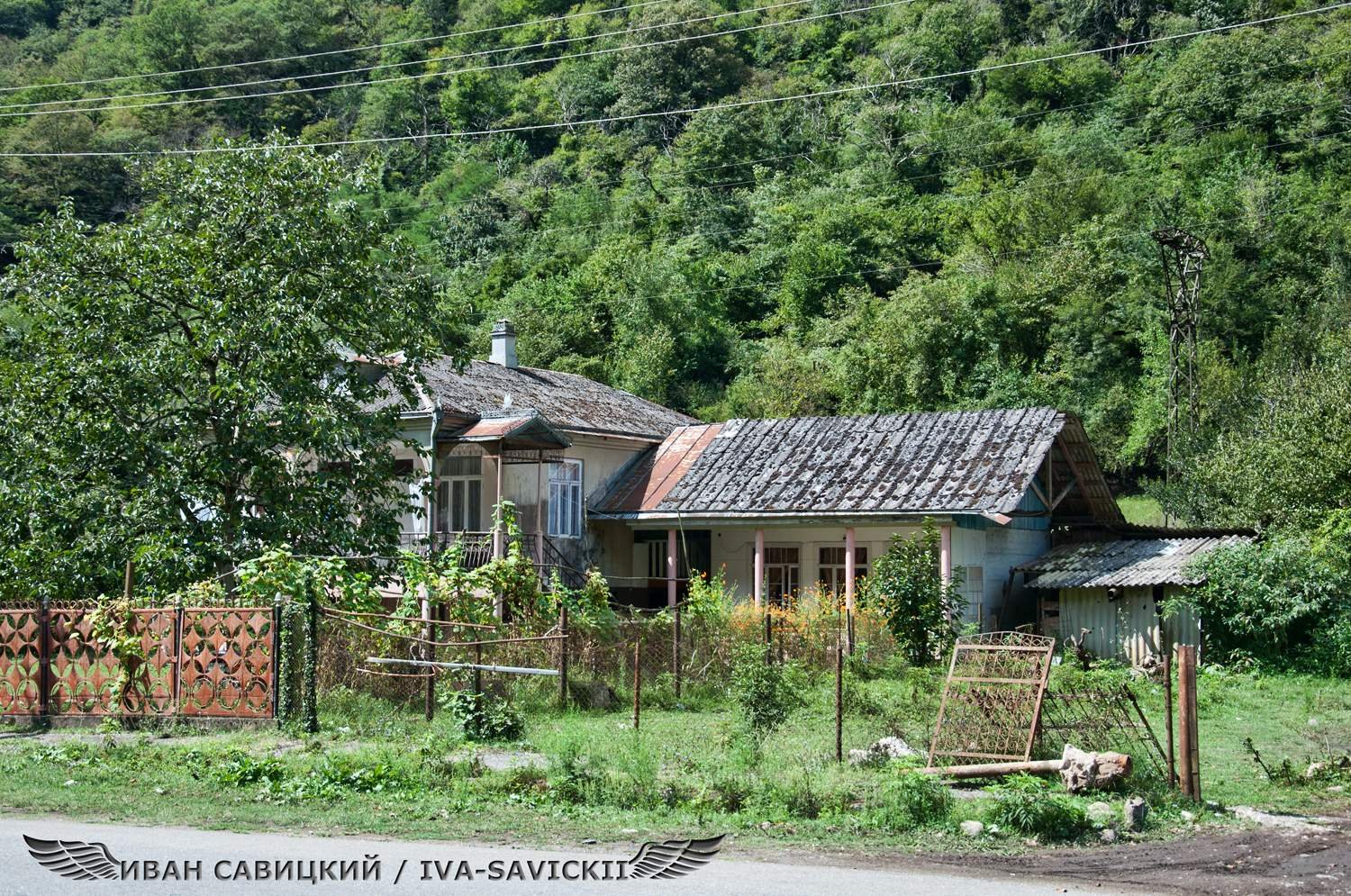 Долина черных тюльпанов Абхазия