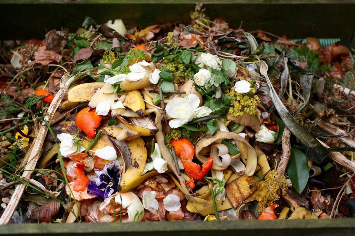 Остатки растительного происхождения. Пищевые отходы. Пищевые отходы для огорода. Пищевые и растительные отходы. Пищевые остатки.
