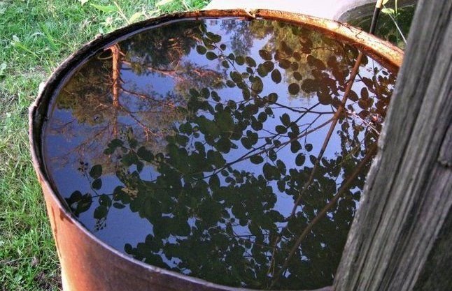 Что сделать с днищем железной бочки на даче, чтобы оно больше не гнило ...