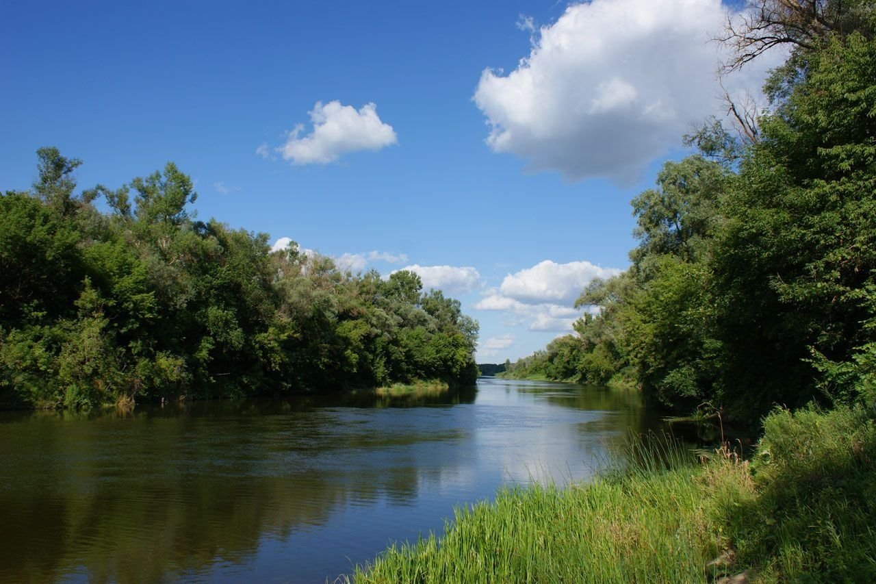 река самара бузулук старые