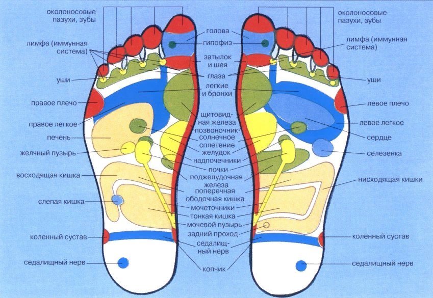 Точки на ногах. Рефлекторные зоны стопы схема органы. Рефлекторные точки стопы ног. Точки на ступнях отвечающие за органы для массажа. Массажные точки на ступнях ног схема.