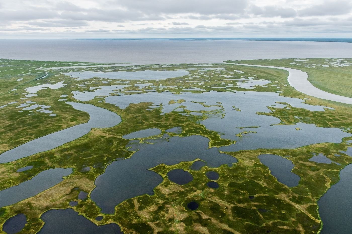 Обь впадает в карское море