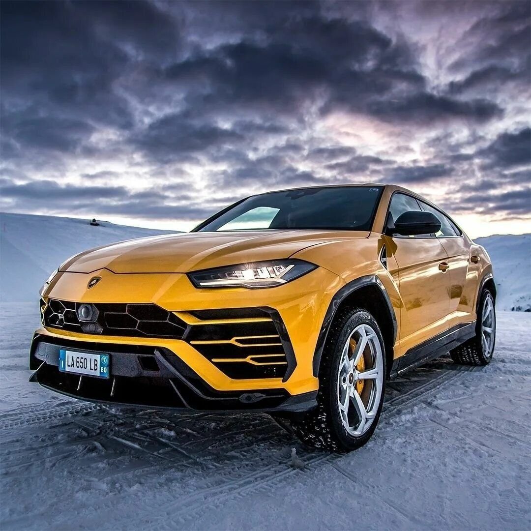 Lamborghini urus фото