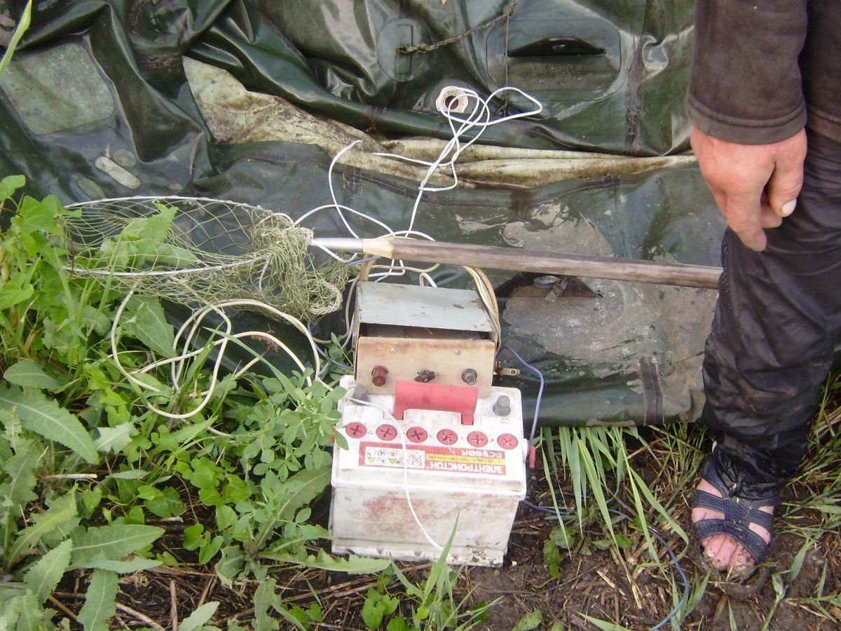 шаговое напряжение. ток лови. удочка и лэп. ток лови. Reels instagram.