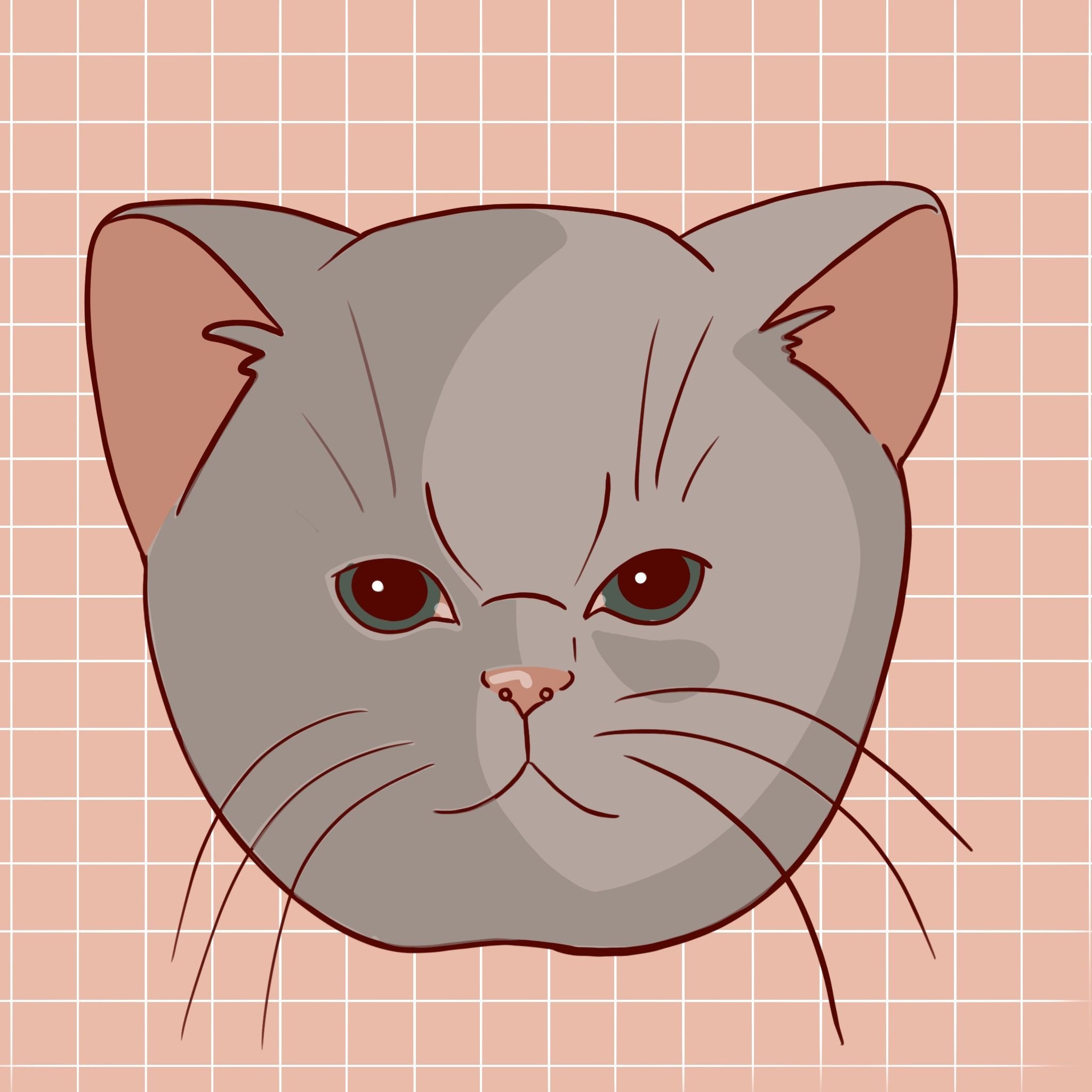 Как нарисовать бяку кошку