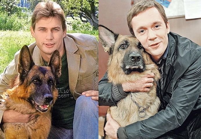 Александр волков возвращение мухтара фото