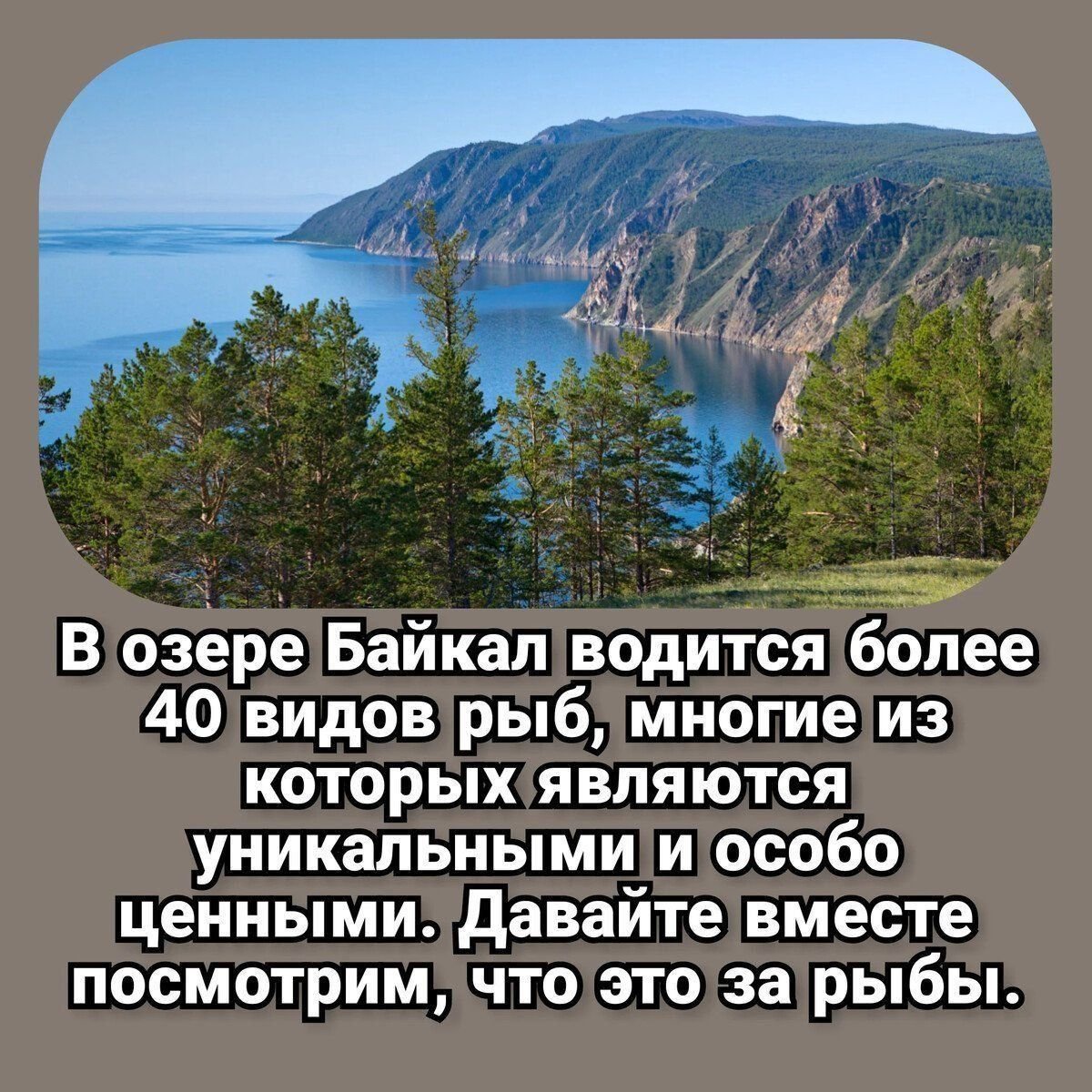 Проект великие озера россии
