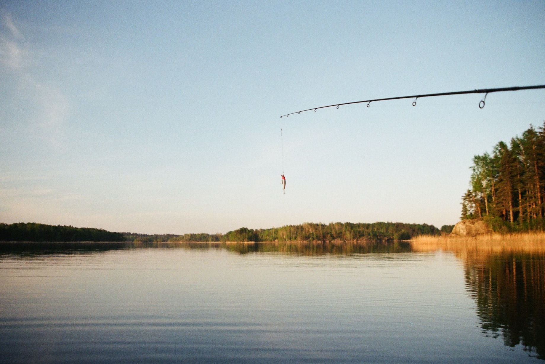 Летние озера рыбалка