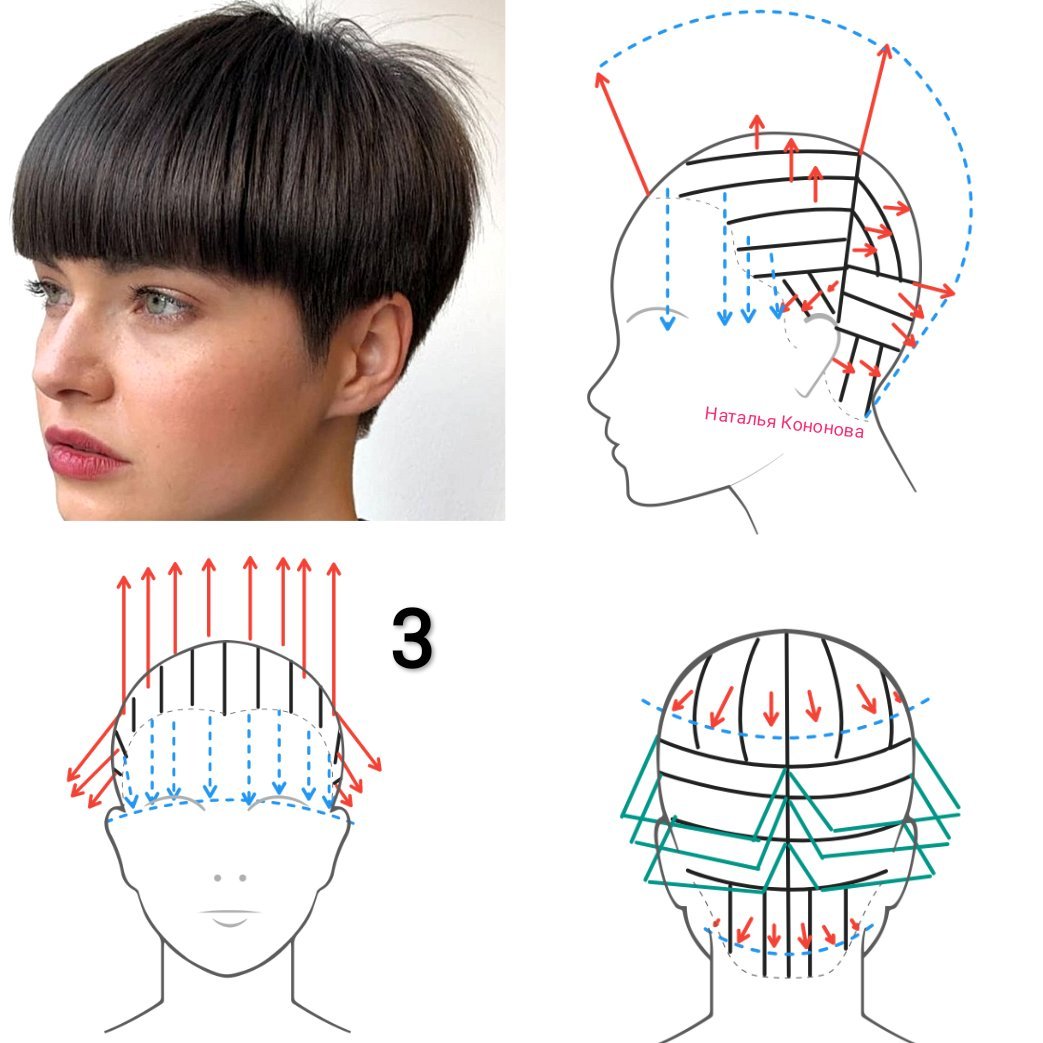 Наталья кононова схемы стрижек