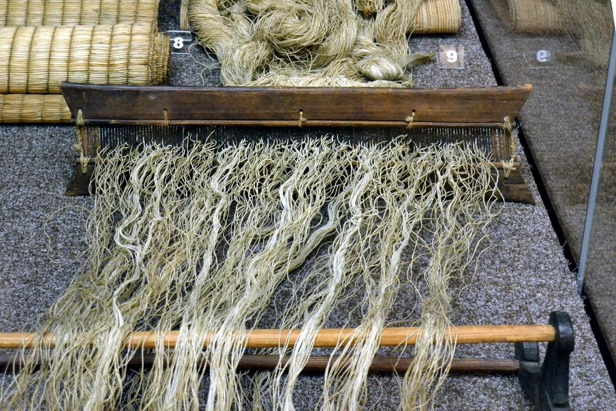 Натуральное волокно лен. Ткань из крапивы рами. Рами волокно. Трепание крапивы. Рами китайская крапива ткань.