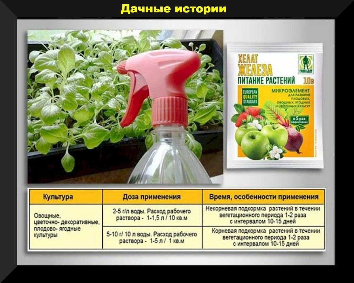 Хелат железа инструкция по применению. Препарат для подкормки растений с железом. Препараты с хелатным железом для растений. Хелат железа для растений. Удобрение с железом для цветов.