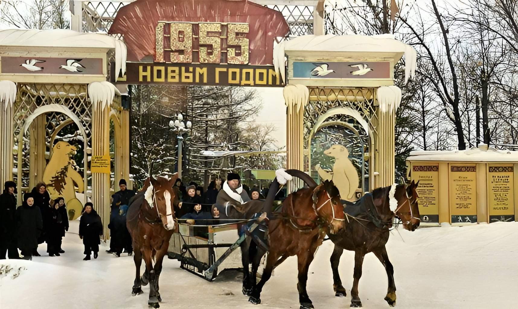 москва 1955 год