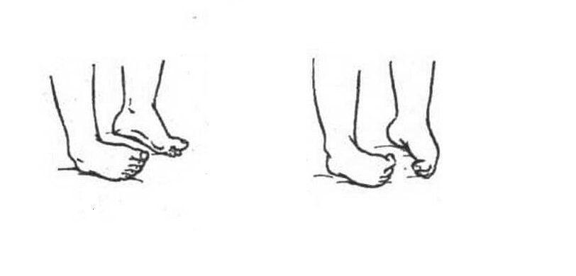 части ступни. как называются части ноги у человека. обратная сторона стопы. строение голеностопного сустава связки и сухожилия. тыльная сторона стопы кости анатомия.